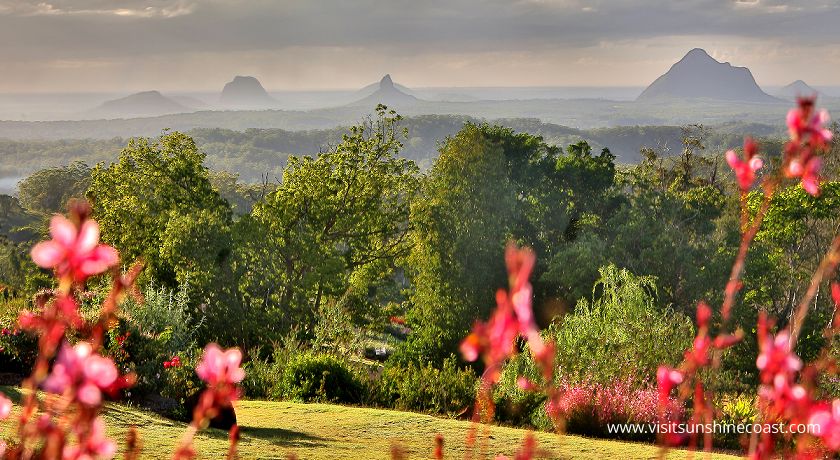 Kings Beach Caloundra Holiday Visit the Hinterland